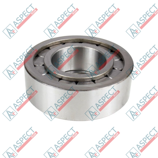 Roller Bearing Bosch Rexroth R902603910 SKS