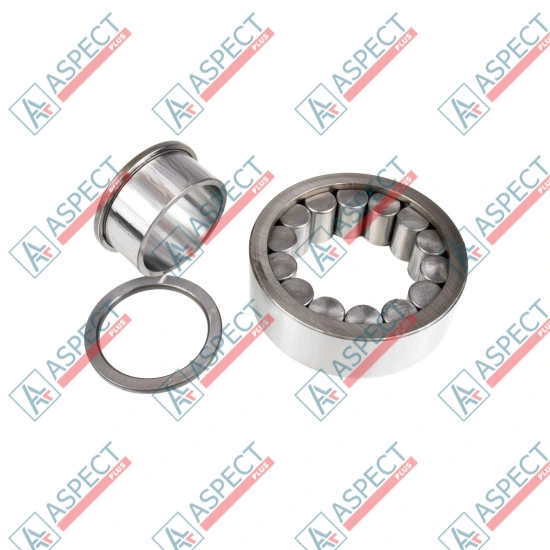 Roller Bearing Bosch Rexroth R902603910 SKS