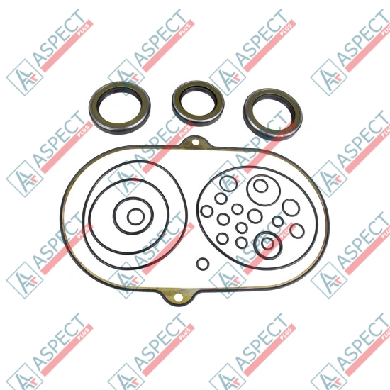 Seal kit pump Hitachi 8050131 SKS