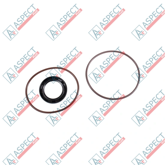 Seal kit pump Bosch Rexroth R902002216 SKS