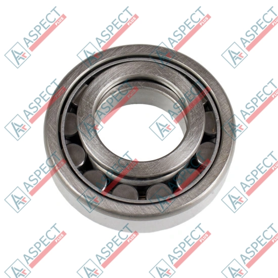 Roller Bearing Kawasaki 1902017503 SKS