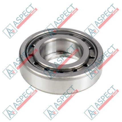 Rodamiento de Rodillos Kawasaki 1902017503 SKS