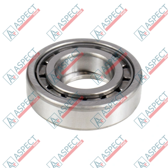 Roller Bearing Kawasaki 1902017503 SKS