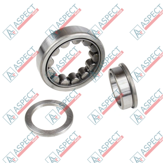 Roller Bearing Kawasaki 1902017503 SKS