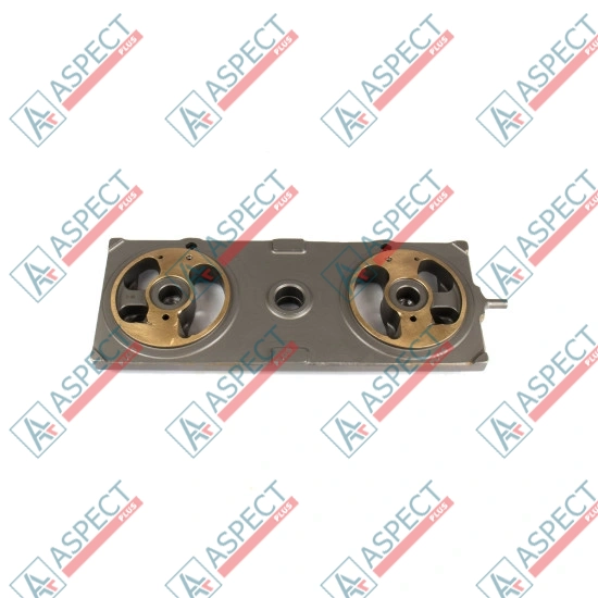 Valve plate Hitachi 9120557 SKS