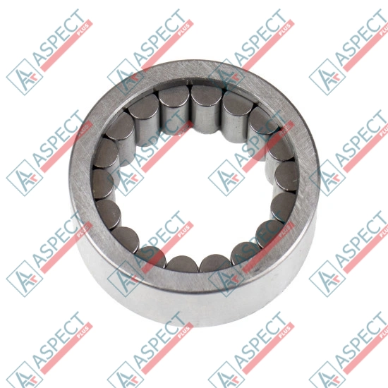 Roller Bearing Bosch Rexroth R909831337 METER