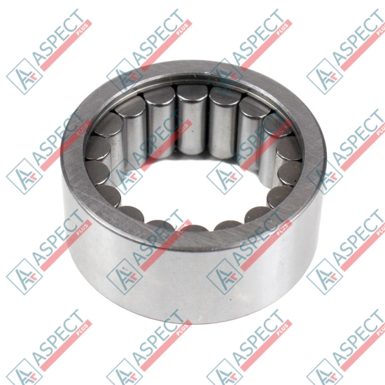 Roller Bearing Bosch Rexroth R909831337 METER