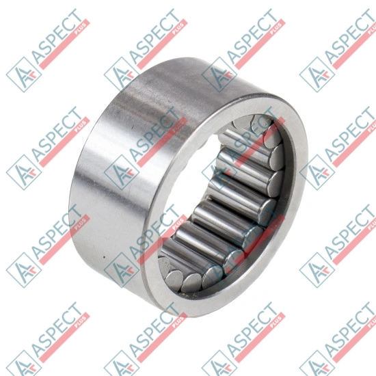Roller Bearing Bosch Rexroth R909831337 METER