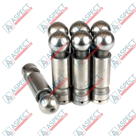 Piston Bosch Rexroth R910620181 SKS