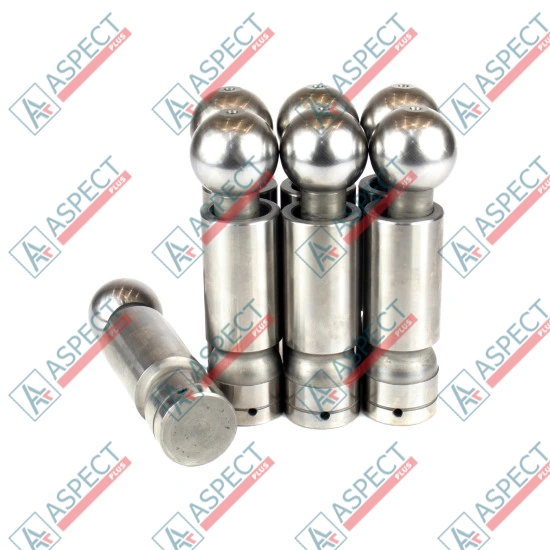 Piston Bosch Rexroth R910620181 SKS