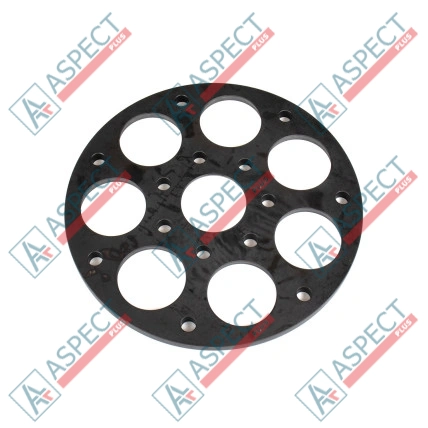 Plaque de maintien Bosch Rexroth R902556372 SKS