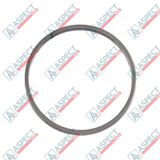 Servo piston ring Bosch Rexroth R909156962 SKS