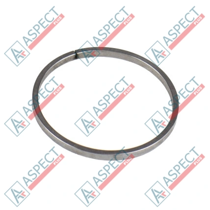 Bague de piston servo Bosch Rexroth R909156962 SKS