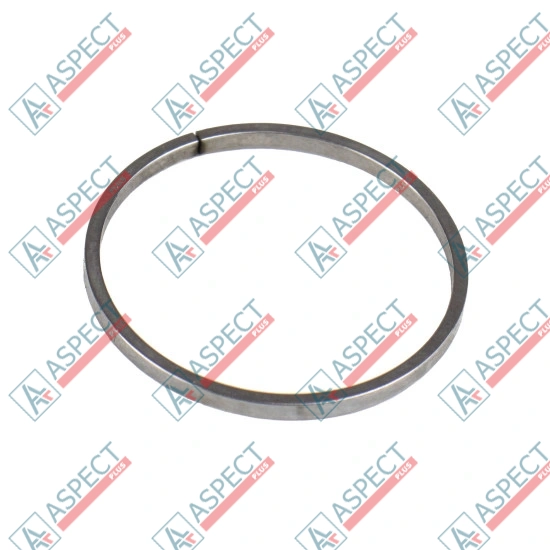 Servo piston ring Bosch Rexroth R909156962 SKS