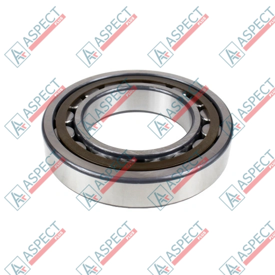 Bearing Bosch Rexroth R910693944 SKS