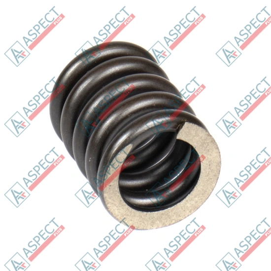 Spring of Rotor Hitachi 4179181 SKS