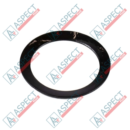 Muelle del disco D=34.0 mm Bosch Rexroth R902121243 SKS