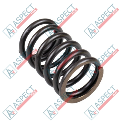 Ressort du rotor Bosch Rexroth A10V43 SKS