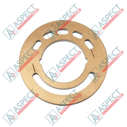 Plaque de soupape gauche Bimetallic Bosch Rexroth R902445502 SKS