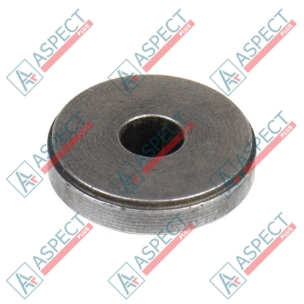 Support du ressort du disque Bosch Rexroth R902043505 SKS