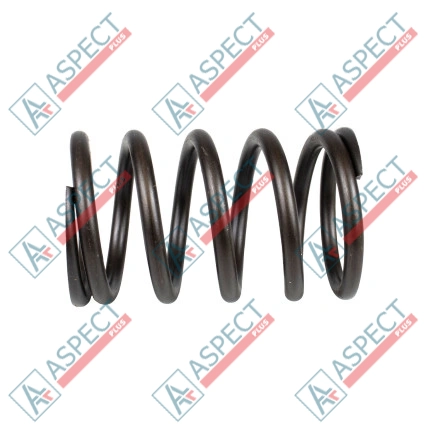 Feder des Rotors Parker 3180121 SKS