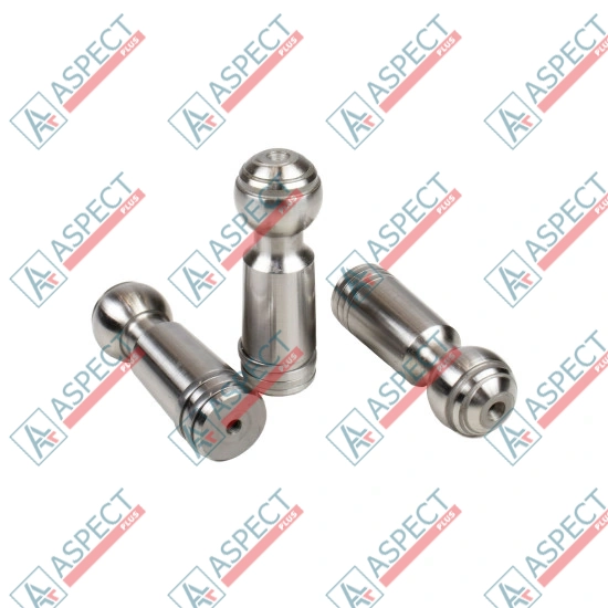 Piston Bosch Rexroth R902021901 SKS