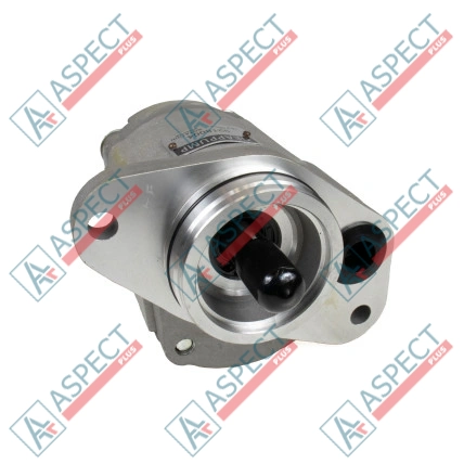 Pompe à engrenages Hitachi 4255303 SKS
