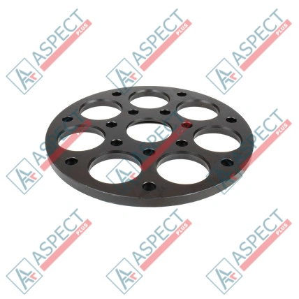 Plaque de maintien Bosch Rexroth R902556371 SKS