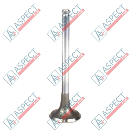Soupape d`échappement Isuzu (5125520342) C240 Komatsu, Sumitomo ISP
