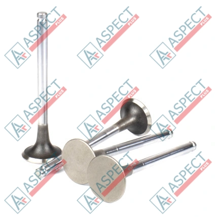 Soupape d`échappement Isuzu (5125520342) C240 Komatsu, Sumitomo ISP