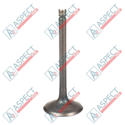 Inlet Valve Isuzu (8971021230) 3LD1, 3LD2, 4LE1 Hitachi, JCB ISP