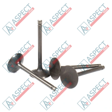 Inlet Valve Isuzu (8971021230) 3LD1, 3LD2, 4LE1 Hitachi, JCB ISP