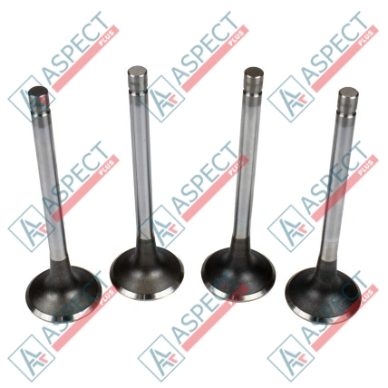 Auslassventil Isuzu (8942478751) 4JG1, 4JG2, 4JB1 Hitachi, JCB ISP
