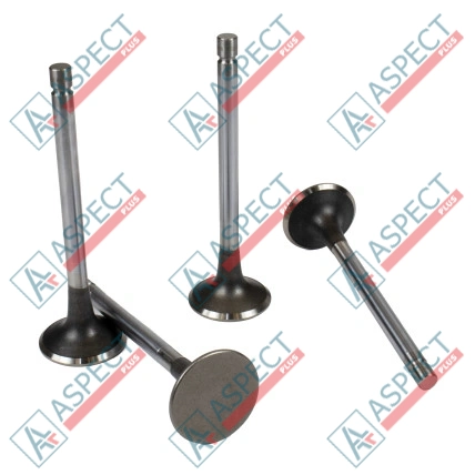 Auslassventil Isuzu (8942478751) 4JG1, 4JG2, 4JB1 Hitachi, JCB ISP