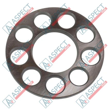 Plaque de maintien Bosch Rexroth R902205450 SKS