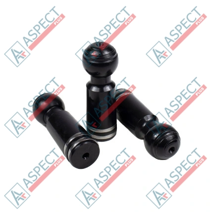 Piston black Bosch Rexroth R902021902 SKS