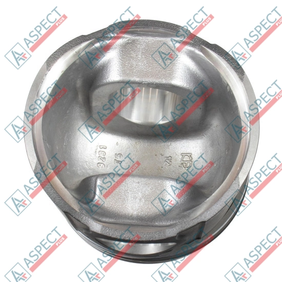 Piston Kit (piston, pin, ring, snap ring) New Holland (38007275) OEM
