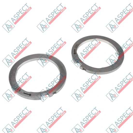 Cam Ring and Scroll Plate Delphi (7174-067FN) DP200 Genuine