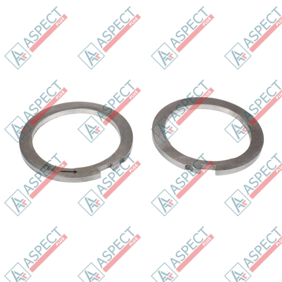 Cam Ring and Scroll Plate Delphi (7174-067FX) DP200 Genuine