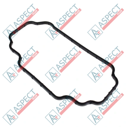Garnitura sistemului de combustibil Delphi (7189-311) DP210, DP310 JCB Piesă OE