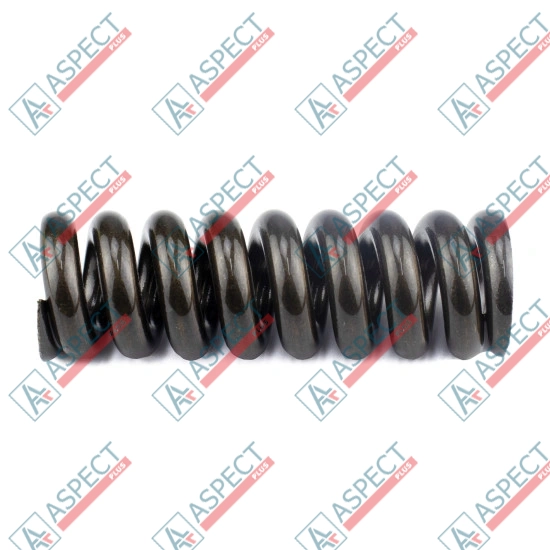 Spring for Center Pin Bosch Rexroth A8VO225 SKS