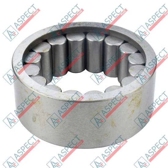 Roller Bearing Bosch Rexroth R902572616 SKS