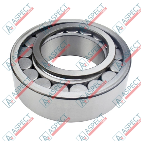 Roller Bearing Bosch Rexroth R902569410 SKS