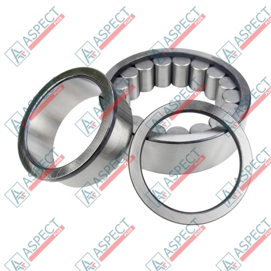 Roller Bearing Bosch Rexroth R902569410 SKS
