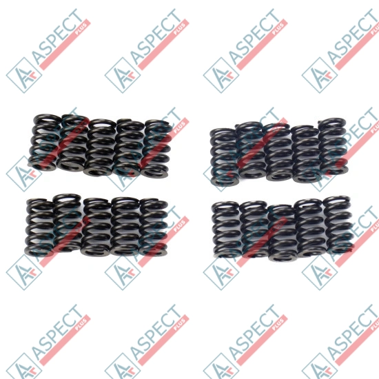 Spring of Ball guide Bosch Rexroth R910965728 SKS
