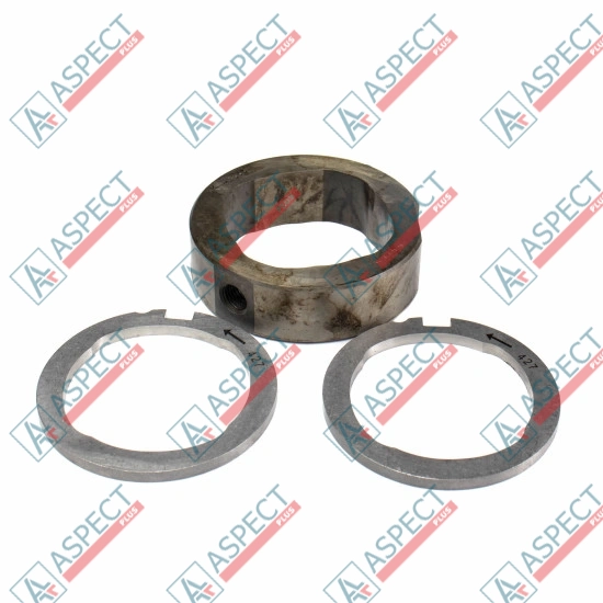 Cam Ring and Scroll Plate Delphi (28259958) DP210, DP310 New Holland Genuine