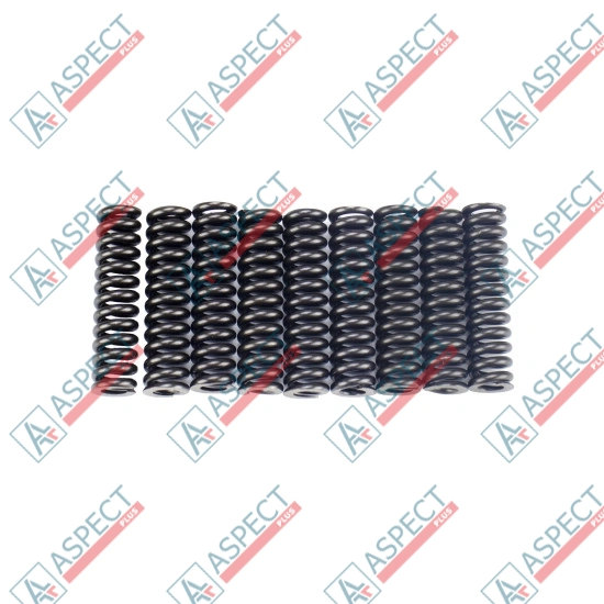 Spring of Ball guide Kawasaki 295-9506 SKS