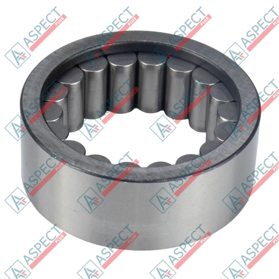 Roller Bearing Bosch Rexroth R909156309 SKS