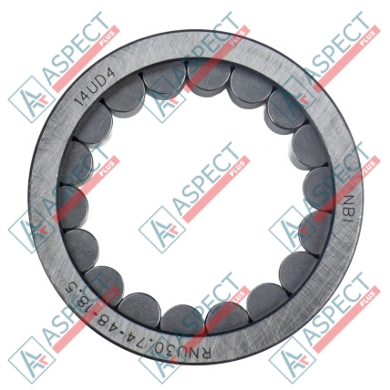 Roulement à rouleaux Bosch Rexroth R909156309 SKS