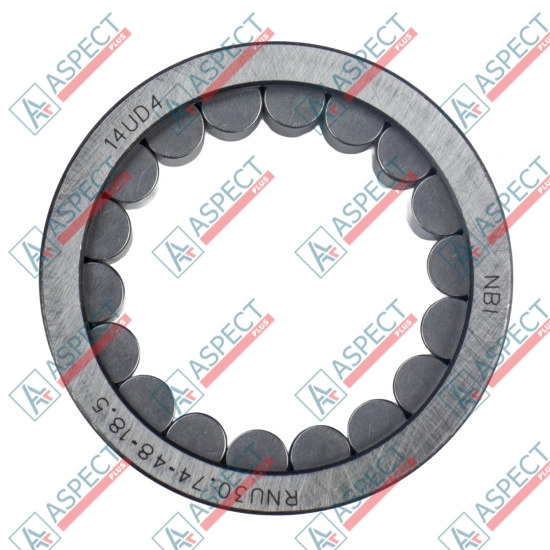 Roller Bearing Bosch Rexroth R909156309 SKS